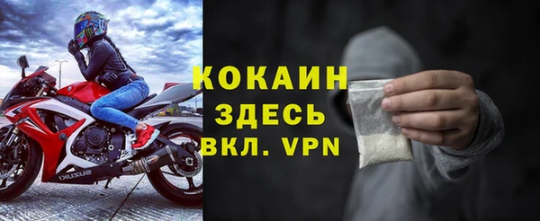 индика Арсеньев