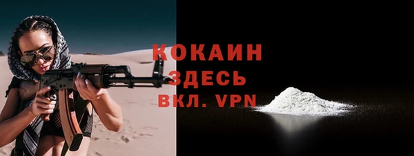 индика Арсеньев