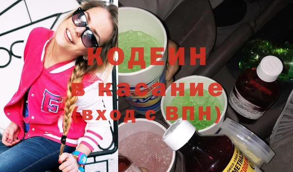 индика Арсеньев