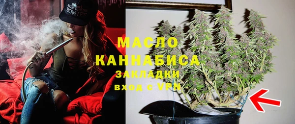 индика Арсеньев