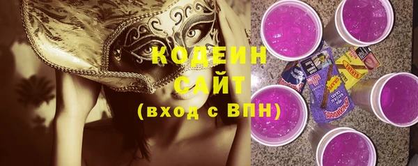 индика Арсеньев