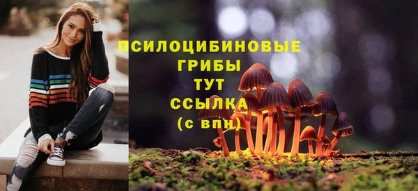 дурь Сафоново