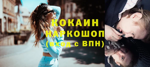 индика Арсеньев